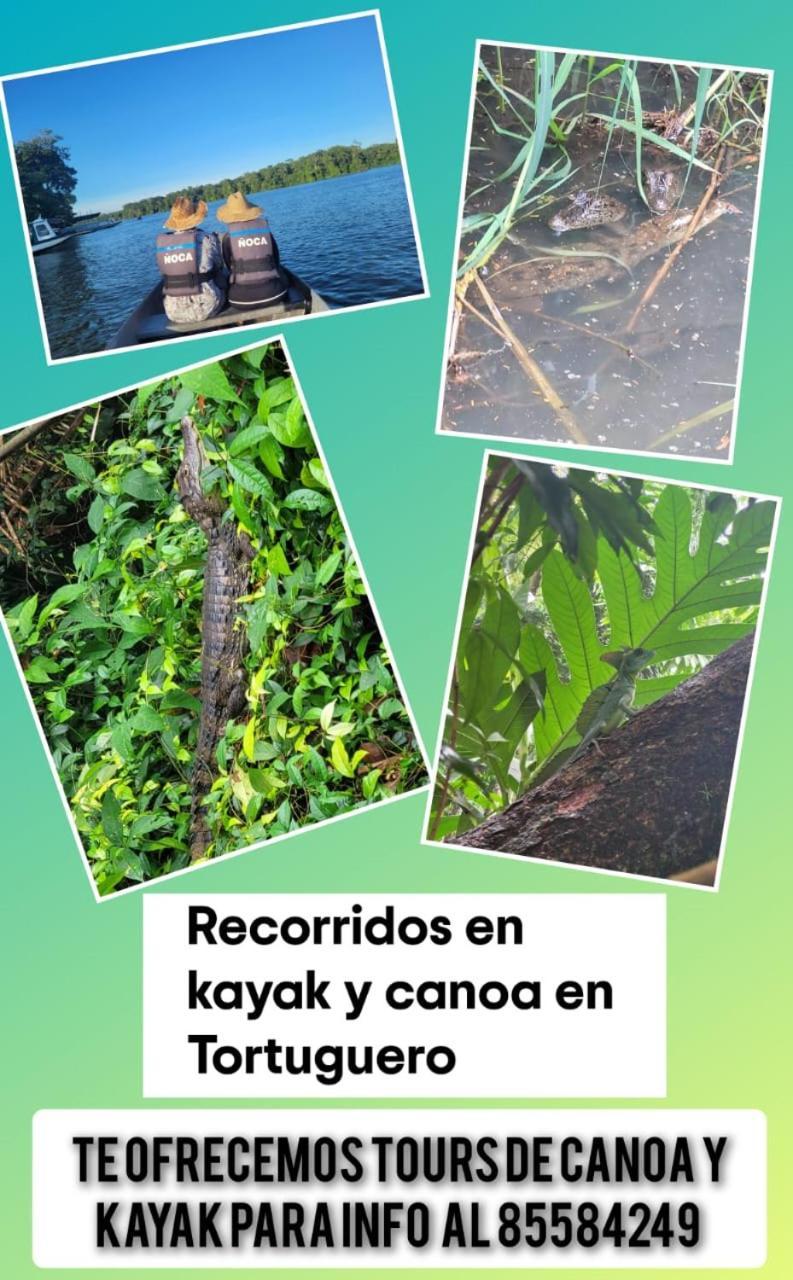 Apartamentos Caiman 3 Tortuguero Exteriér fotografie